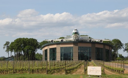 A museum in the middle of a vineyard