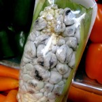 Huitlacoche (corn fungus delicacy)
