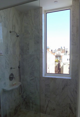 Shower with a view
