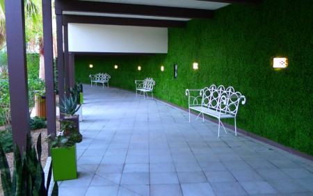 Hip Green Wall at the Riviera Palm Springs Hotel