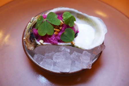 Oyster at Eleven Madison Park