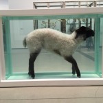 "Away from the Flock" is a sheep suspended in formaldehyde and a glass-walled tank